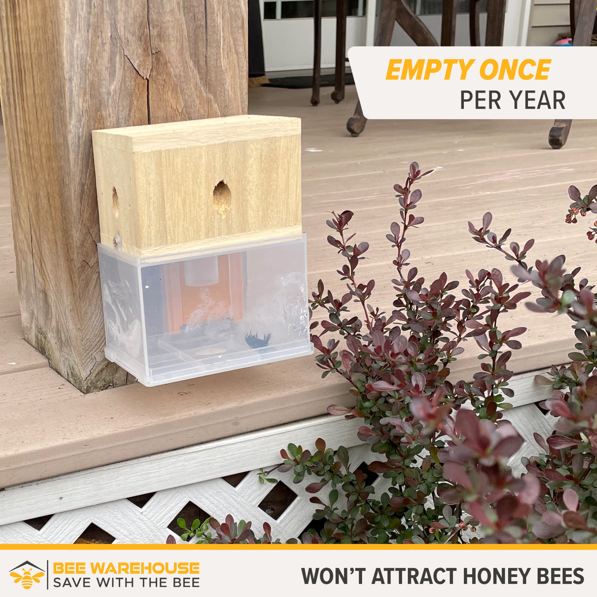 Carpenter Bee Trap
