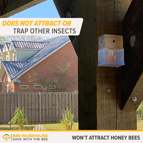 Carpenter Bee Trap