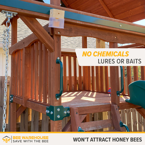 Carpenter Bee Trap