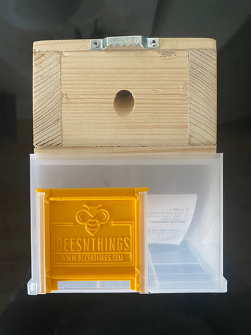 Carpenter Bee Trap