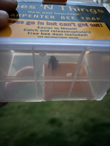 Carpenter Bee Trap