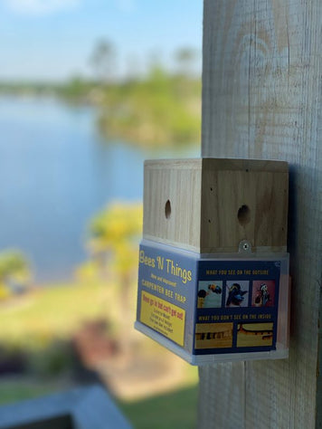 Carpenter Bee Trap